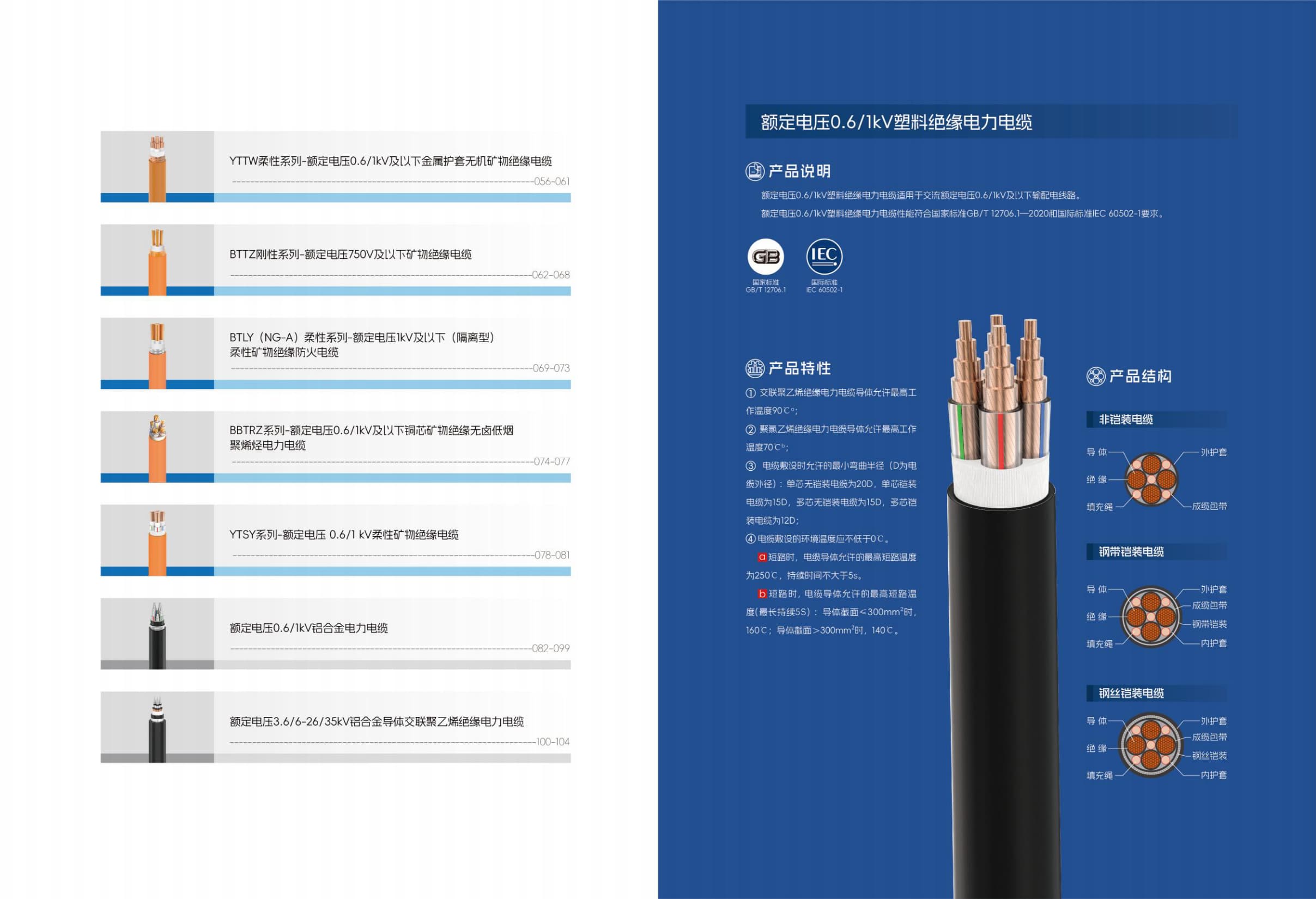 0.6/1kV Plastic Insulated Power Cable (VV / YJV)
